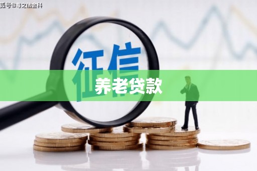 成功养老贷款