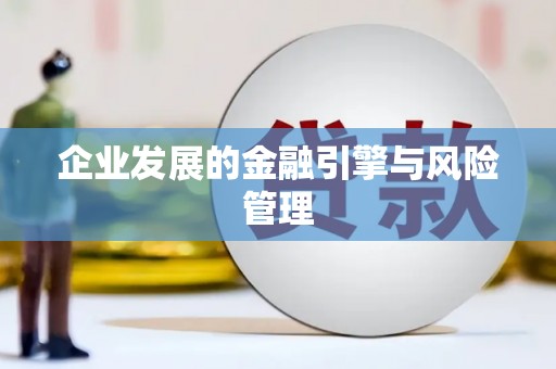王益企业发展的金融引擎与风险管理