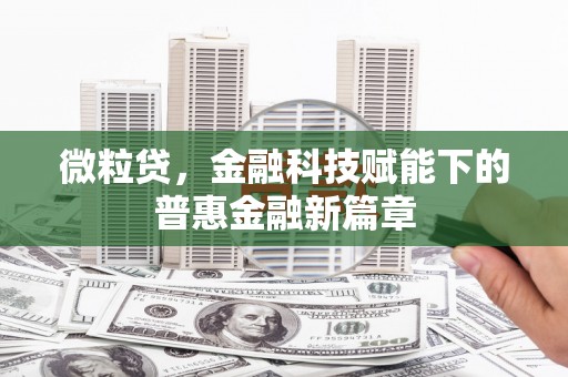 新邱微粒贷，金融科技赋能下的普惠金融新篇章