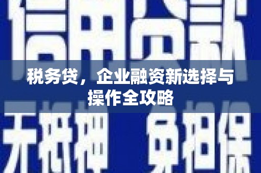海东税务贷，企业融资新选择与操作全攻略