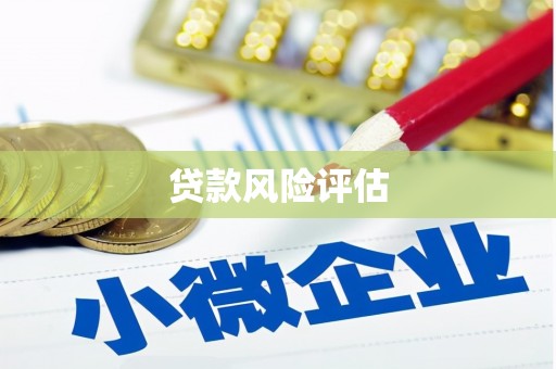 东兴贷款风险评估