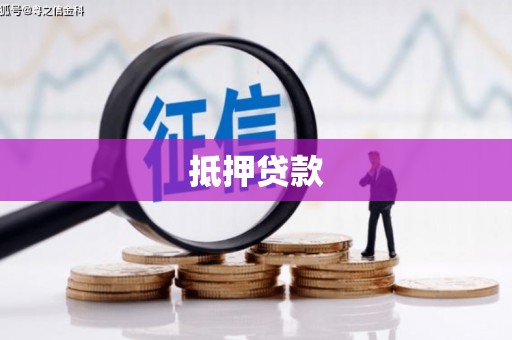 正阳抵押贷款