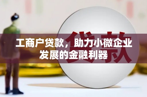 芦淞工商户贷款，助力小微企业发展的金融利器
