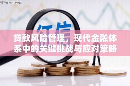 戚墅堰贷款风险管理，现代金融体系中的关键挑战与应对策略