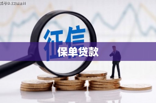 秦淮保单贷款