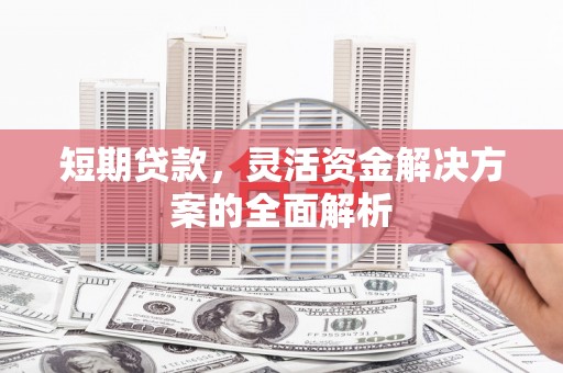 定兴短期贷款，灵活资金解决方案的全面解析