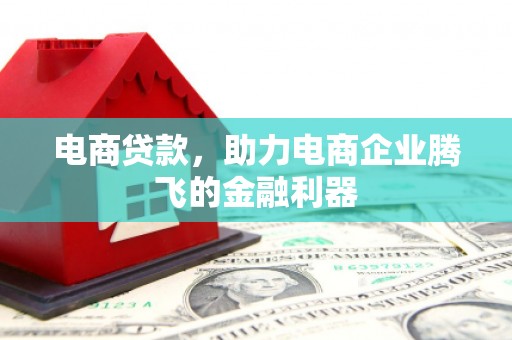 额济纳旗电商贷款，助力电商企业腾飞的金融利器