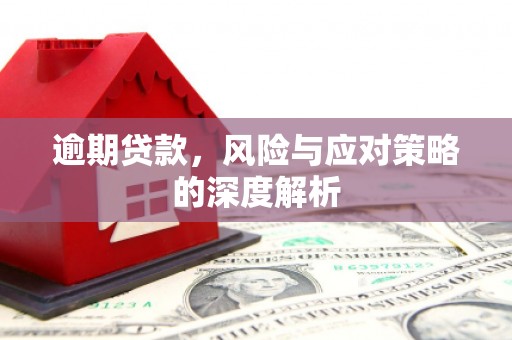 东阿逾期贷款，风险与应对策略的深度解析