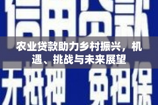 永德农业贷款助力乡村振兴，机遇、挑战与未来展望