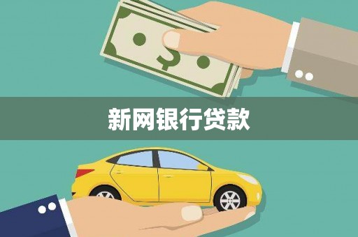 大丰新网银行贷款