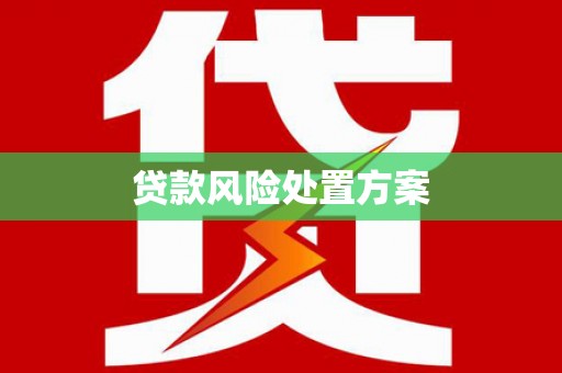 南岳贷款风险处置方案