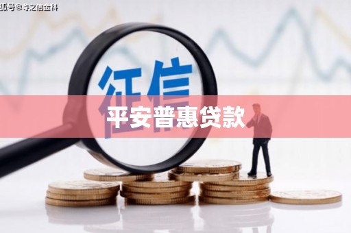 温宿平安普惠贷款
