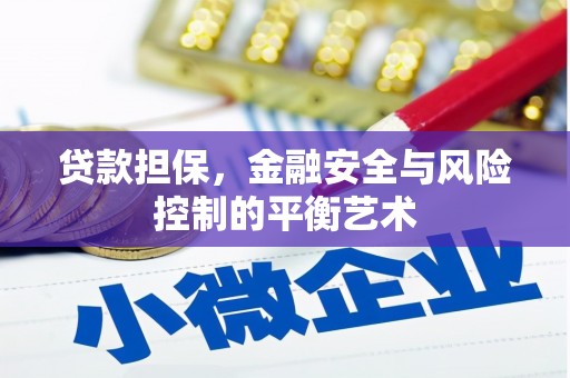 长安贷款担保，金融安全与风险控制的平衡艺术