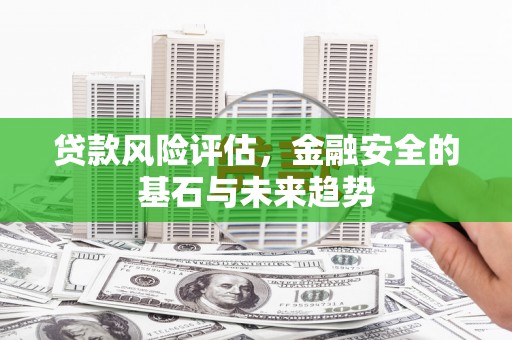 琼中贷款风险评估，金融安全的基石与未来趋势