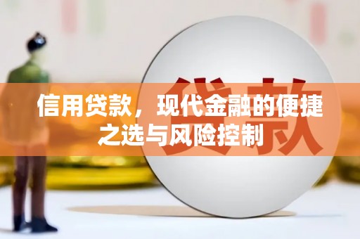 罗山信用贷款，现代金融的便捷之选与风险控制