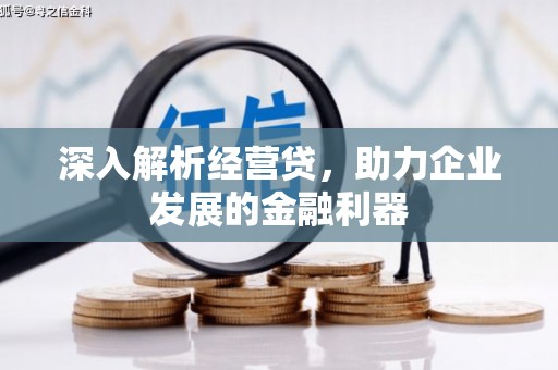 杂多深入解析经营贷，助力企业发展的金融利器