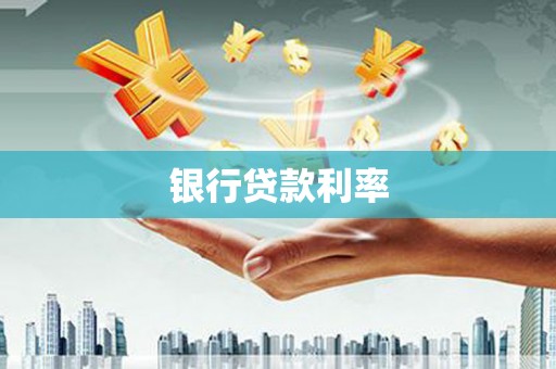 龙文银行贷款利率