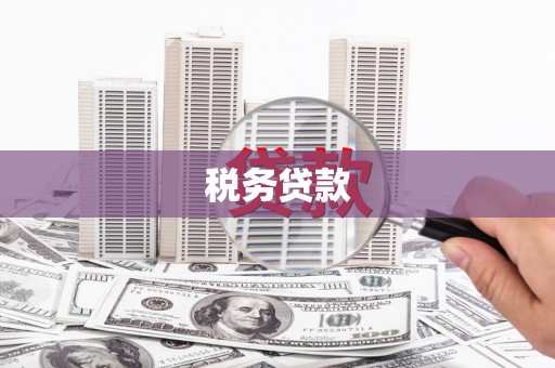两当税务贷款