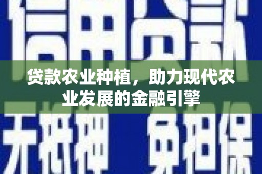 琼中贷款农业种植，助力现代农业发展的金融引擎