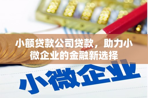 旺苍小额贷款公司贷款，助力小微企业的金融新选择