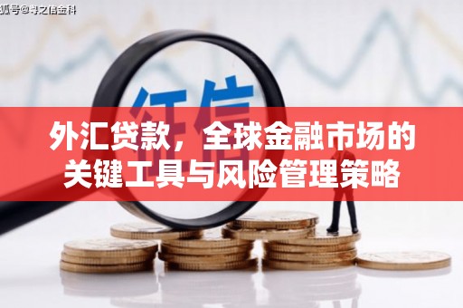 得荣外汇贷款，全球金融市场的关键工具与风险管理策略