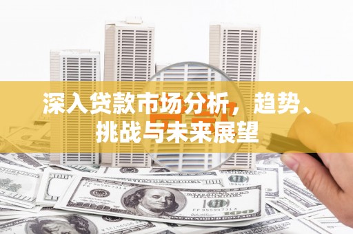 大堂深入贷款市场分析，趋势、挑战与未来展望