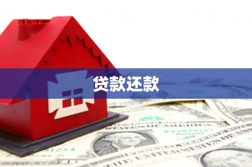 东乡贷款还款