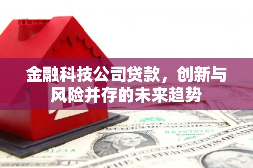 宝应县金融科技公司贷款，创新与风险并存的未来趋势