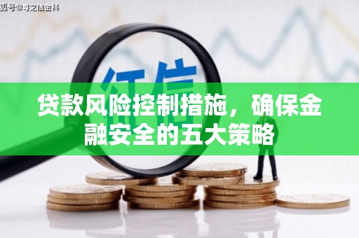 苏澳贷款风险控制措施，确保金融安全的五大策略