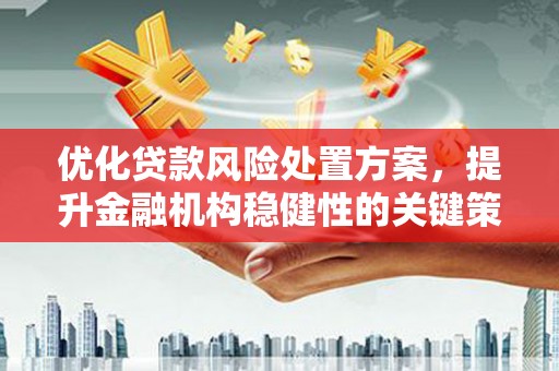 金湾优化贷款风险处置方案，提升金融机构稳健性的关键策略