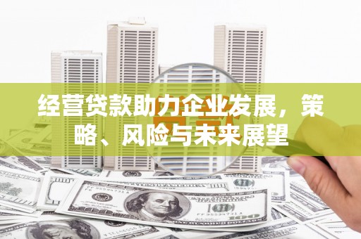遂宁经营贷款助力企业发展，策略、风险与未来展望