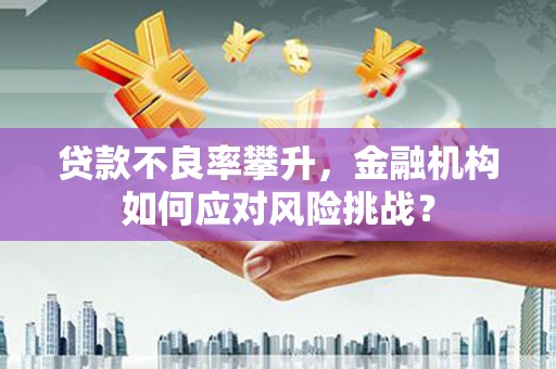 昌都贷款不良率攀升，金融机构如何应对风险挑战？
