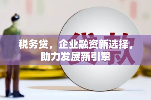 中卫税务贷，企业融资新选择，助力发展新引擎