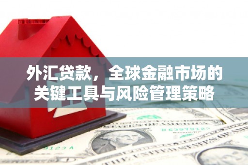 市南外汇贷款，全球金融市场的关键工具与风险管理策略