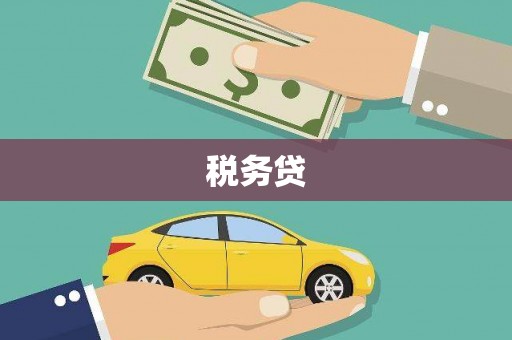 伊犁哈萨克税务贷