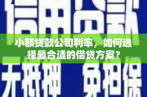双河小额贷款公司利率，如何选择最合适的借贷方案？