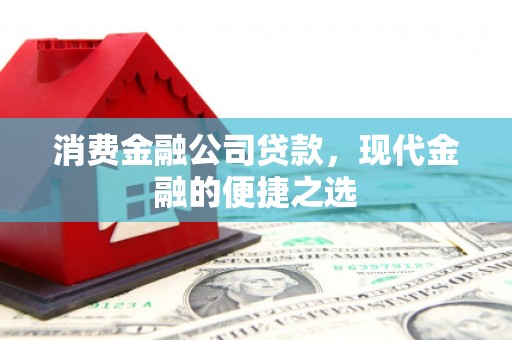海东消费金融公司贷款，现代金融的便捷之选