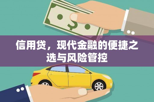 镇原信用贷，现代金融的便捷之选与风险管控