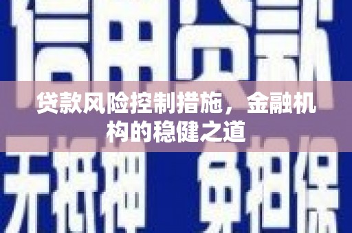 龙凤贷款风险控制措施，金融机构的稳健之道