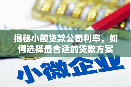 武江揭秘小额贷款公司利率，如何选择最合适的贷款方案