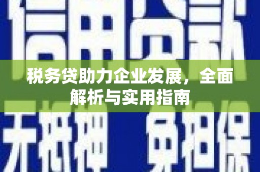 湖口税务贷助力企业发展，全面解析与实用指南