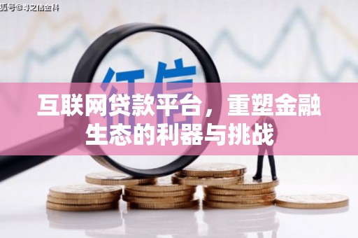 大武互联网贷款平台，重塑金融生态的利器与挑战
