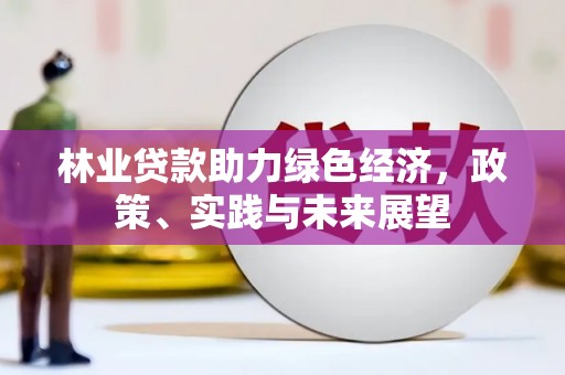 龙南林业贷款助力绿色经济，政策、实践与未来展望