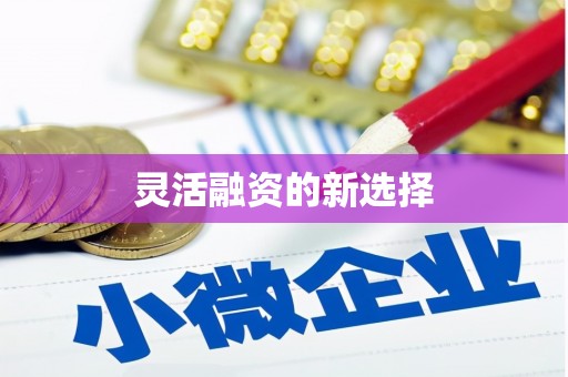 顺平灵活融资的新选择