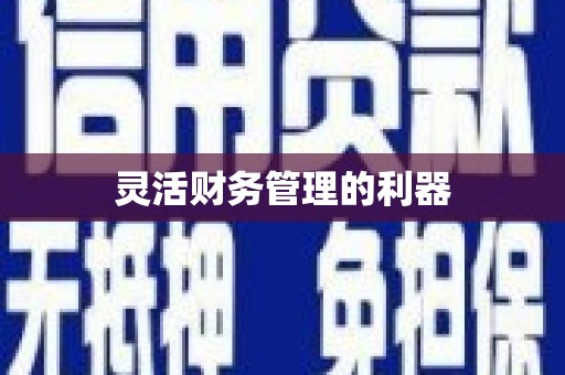灌云灵活财务管理的利器