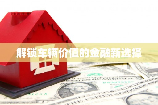 白沙解锁车辆价值的金融新选择
