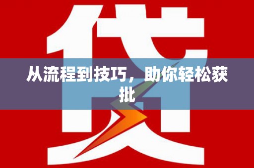 西丰从流程到技巧，助你轻松获批