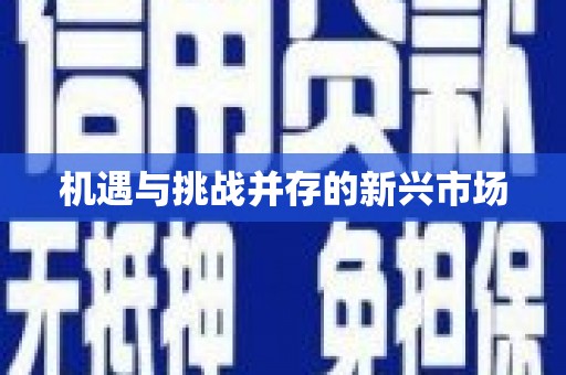 大关机遇与挑战并存的新兴市场