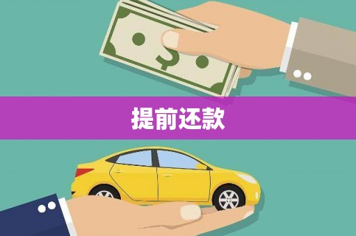 伊川提前还款