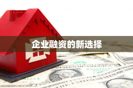 金阳企业融资的新选择
